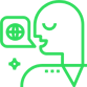 feature_icon